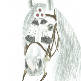 Claudia Luethi Alias Abdelghafar: 'andalusian stallion', 2018 Other Drawing, Animals. Artist Description: A wonderful andalusian stallion with his traditional bridle. I love horses and riding horses is a hobby of mine. ...