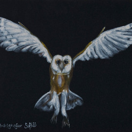 Claudia Luethi Alias Abdelghafar: 'barn owl', 2019 Other Painting, Animals. Artist Description: Who is flying through the night, it is the barn owl and she is looking for something to eat  The size of the painting is without frame 40 x 60 x 2 cm and with frame 43 x 63 x 3 cm, the painting was finished on 30. ...
