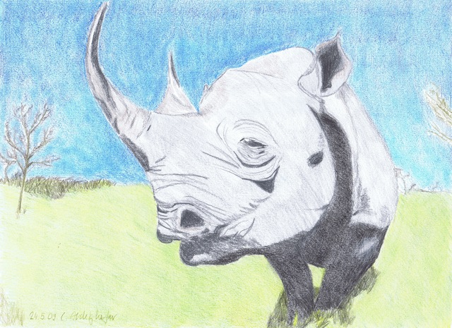 Claudia Luethi Alias Abdelghafar  'Impressive Rhino', created in 2009, Original Painting.