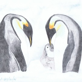 Claudia Luethi Alias Abdelghafar: 'penguin family', 2009 Other Drawing, Animals. Artist Description: A little penguin family with the baby, what a wonderful moment  Drawing with colored pencil on DIN A3 paper. ...
