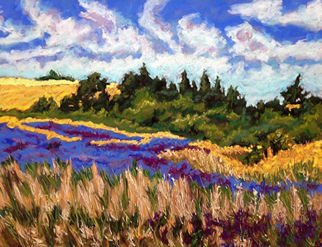 Mary Jane Erard: 'canola and clouds', 2017 Pastel, Landscape. Pastel on Board, framed...