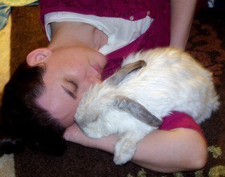 Luise Andersen: 'ANDREA AND DWARF BAZIL   Asleep', 2010 Color Photograph, Love.  . . have been 10 days at my daughter Andrea and her heart throb of 17 years, Richard's place. . spent peaceful time. . away from stress and chaos there. .Andrea had 3 dwarf rabbits. . all got 8 years old. . she lost two. . Comet, the black beautiful little Prince, and Ginger. . the creme...