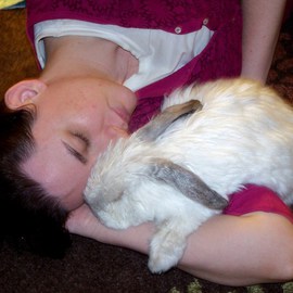 Luise Andersen: 'ANDREA AND DWARF BAZIL   Asleep', 2010 Color Photograph, Love. Artist Description:  . . have been 10 days at my daughter Andrea and her heart throb of 17 years, Richard's place. . spent peaceful time. . away from stress and chaos there. .Andrea had 3 dwarf rabbits. . all got 8 years old. . she lost two. . Comet, the black beautiful little Prince, and Ginger. . ...