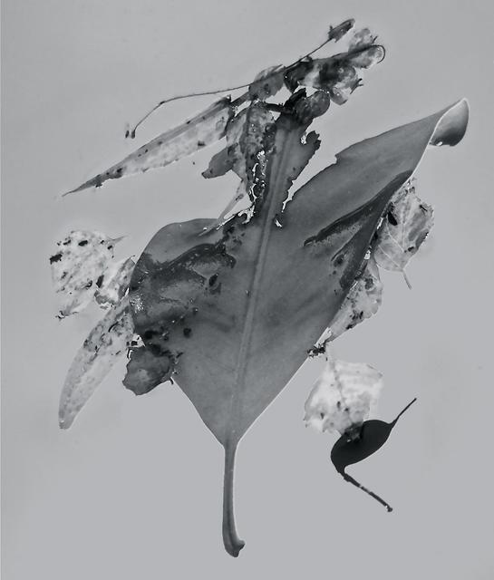 Artist Luise Andersen. 'Abstract In Nature ENCHANTMENT AFLOAT II' Artwork Image, Created in 2013, Original Fiber. #art #artist