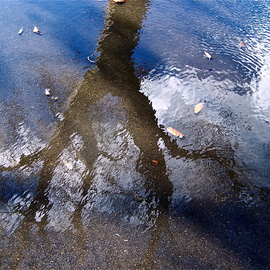 Luise Andersen: 'Between Here And Tomorrow MAYI', 2012 Color Photograph, Other. Artist Description:    . . reflection in park rain puddle . . during intermittent rain and sun. .* * size for uploading purpose only.  ...