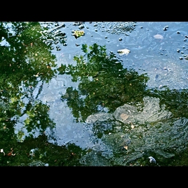 Luise Andersen: 'Between here and Tomorrow II OCTSVN', 2012 Color Photograph, nature. Artist Description:   . . REFLECTIONS IN WATER PUDDLE ON BASEBALL COURT IN PARK SEVILLE* * size for uploading purpose only  ...