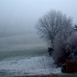 Luise Andersen: 'GERMANY Passau Area  VIEW OUT OF WINDOW  Winterscene', 2007 Other Photography, Other. 