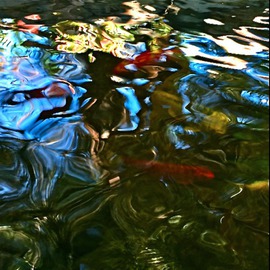 Luise Andersen Artwork Goldfish Pond VII , 2015 Color Photograph, Abstract