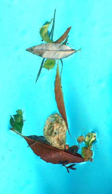Artist Luise Andersen. 'MIP  Rock The Boat Birdie' Artwork Image, Created in 2010, Original Fiber. #art #artist