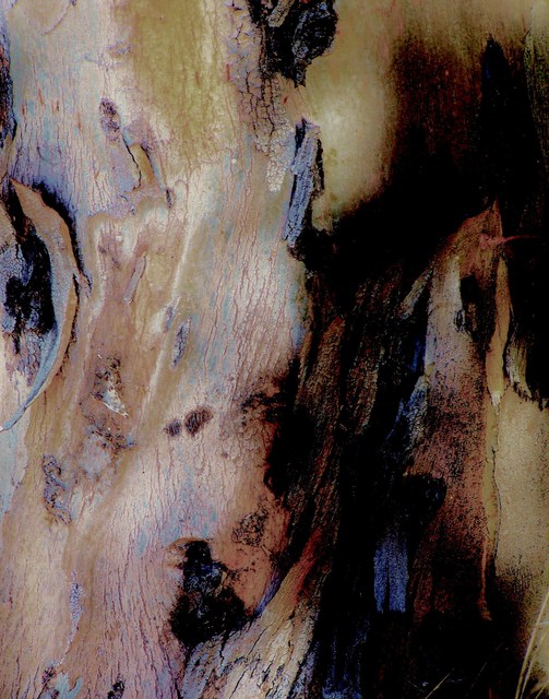 Artist Luise Andersen. 'PaintedALittle EucalyptusSeries Abstract IIM' Artwork Image, Created in 2011, Original Fiber. #art #artist