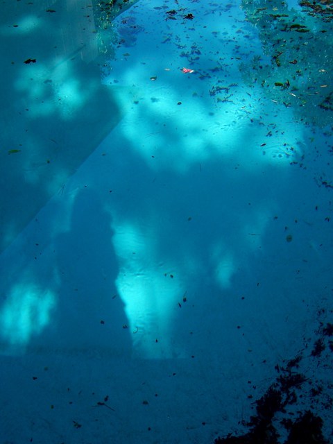 Artist Luise Andersen. 'REFLECTIONS In The Pool Series Luise II' Artwork Image, Created in 2010, Original Fiber. #art #artist