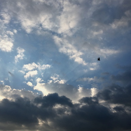 Luise Andersen Artwork wings on evening flight , 2015 Color Photograph, Clouds
