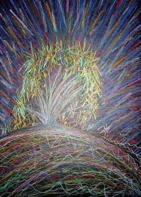 Leo Evans: 'AURORAE POLARIS A', 2007 Other Drawing, Inspirational.  