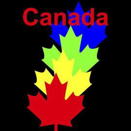 Canada Maple Leaves By Asbjorn Lonvig