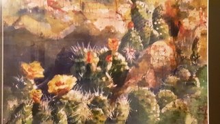 Judy Uhlig: 'prickly beauty', 2016 Paper, Abstract Landscape. My husband and I fell in love with all the flowering cactus on a trip to Colorado.   The subject of rocks and cactus worked well with the technique of watercolor and acrylic on rice paper with a hot wax resist to create textures of fine cracks seen in natural stone.   ...