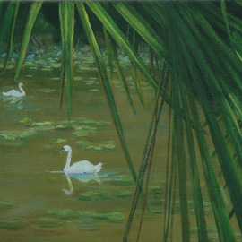 Lorrie Williamson: 'Swans Through the Palms      ', 2003 Acrylic Painting, nature. Artist Description:  Sharing memorable moments through art.  More from the Bonnet House series. ...