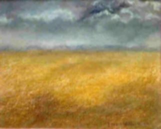Lorrie Williamson: 'The Lone Prairie', 2003 Oil Pastel, Landscape.   The expanse of the Everglades with afternoon storms approaching painted with Oil Pastels. Best in Show award.Size with mat and frame: 16 x 12. White mat and light wood box frame. ...