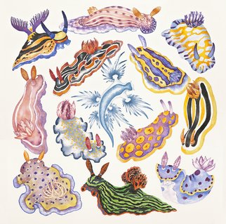 Lucy Arnold: 'toxic tango 1 sea slugs', 2014 Watercolor, Sea Life.  Sea Slugs  are part of my Toxic Tango series, which celebrates beautiful creatures that are also venomous or poisonous. sea slugs, nudibranchs, sea life, animals, venomous animals, watercolor, whimsical, colorful...