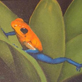 Nicola Lupoli: 'Tree Frog', 2003 Oil Painting, nature. 