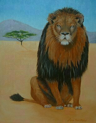 Lora Vannoord: 'African Lion', 2015 Oil Painting, Animals.  African Lion oil painting on a canvas Board with a one inch wooden frame. ...