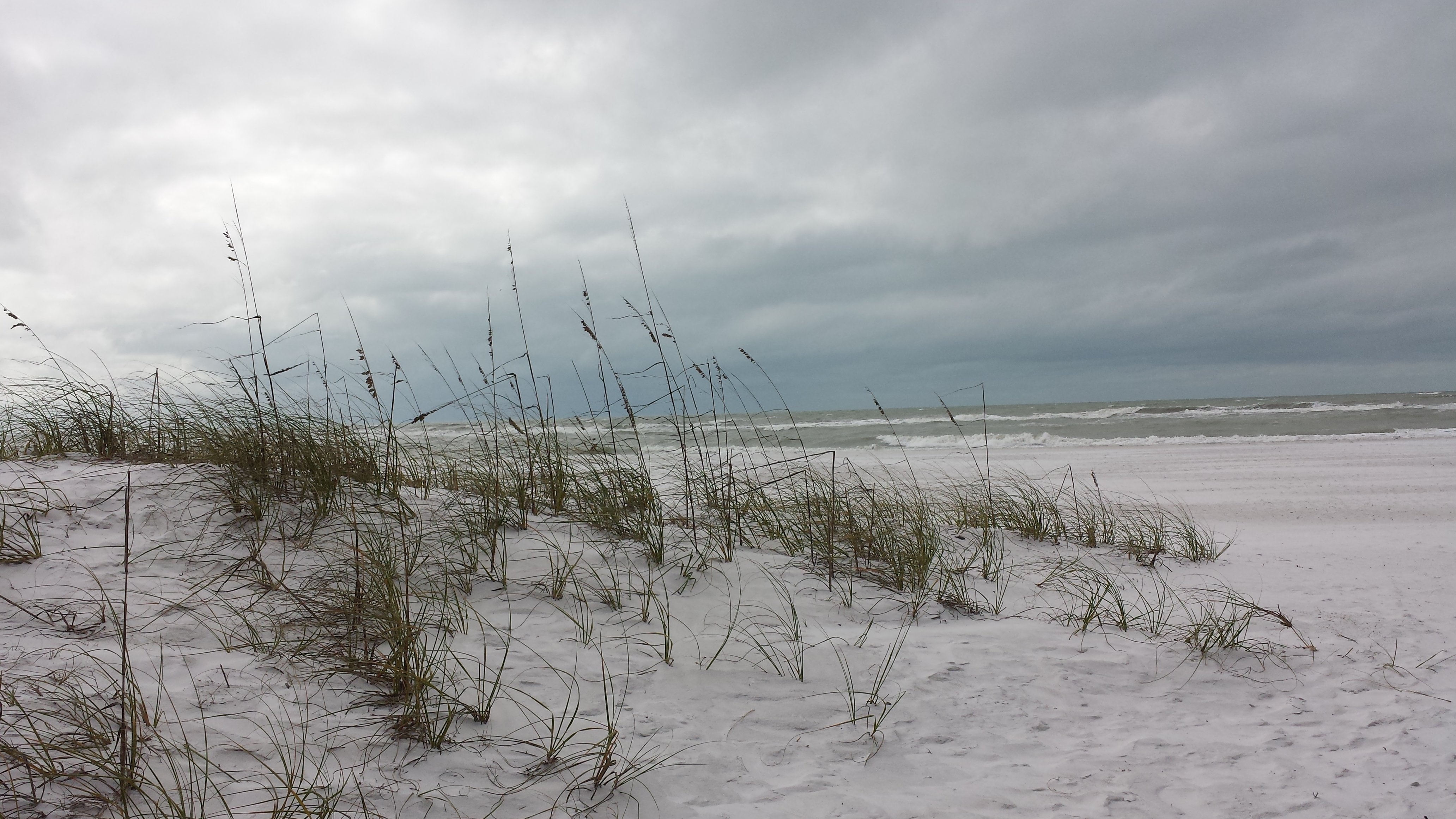 Artist: Jerry Schole - Title: Sea oats and Surfs Up - Medium: Color Photograph - Year: 2020
