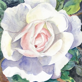 An Irish Rose, Mary Jean Mailloux