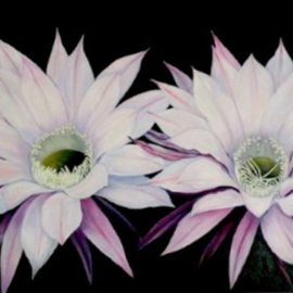 Mary Jean Mailloux: 'cactus flowers', 2014 Oil Painting, Floral. 