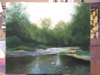 Marty Kalb: 'Highbanks 1', 2003 Acrylic Painting, Landscape.   This is the Olentangy River at Highbanks Park near Columbus Ohio  ...