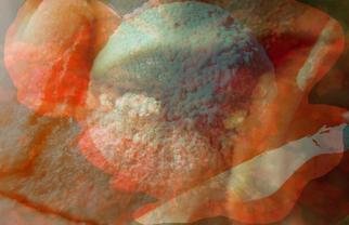 Micha Nussinov: 'Decomposition', 2004 Color Photograph, Abstract. The relationship between the mouth and organic matter as it decomposed. ...