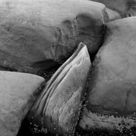 Michael Easton: 'Sandstone, Hornby Island 6', 1994 Black and White Photograph, Abstract Landscape. 