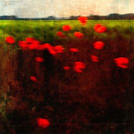 Michael Regnier: 'Red Poppies', 2008 Other Photography, Abstract Landscape. Artist Description:  Prints are archival pigment on acid free cotton rag paper utilizing the latest fine- art digital print making techniques, and printed personally by me. ...