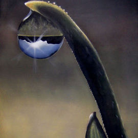 Michelle Iglesias: 'Mountain Dew Drop', 2011 Oil Painting, nature. Artist Description:   dew drop, reflection, mountain, leaf, water, morning, blue, green, yellow, tan, gray  ...