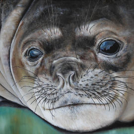 Michelle Iglesias: 'Ocean Seal', 2012 Oil Painting, Animals. Artist Description:  seal, sea, cold, water, reflection, eye, eyes wiskers, fat rolls, fur, fury, cute, adorable, childlike, childish, real, realism, nose, wrinkled, brown, white, black, green, teal, blue, tan, sad, happy, upset, emotional, michelle iglesias, oil painting, animal, cloud, sky, mountain, eyelash, eyebrow, mouth, smiling ...