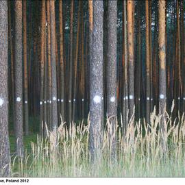 Blind Spots By Mikael Hansen