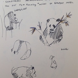 Michelle Mendez: 'Pandas', 2006 Pen Drawing, Animals. Artist Description:    China, Pen, Sketch, Travel         Panda Preservation, China, Panda, Bambo, sketch in sketchbook, panda drawings on both sides ...