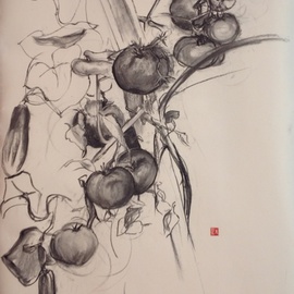 Michelle Mendez: 'Tomatos', 2012 Charcoal Drawing, nature. Artist Description:   Gesture drawing, nature, rythm ...