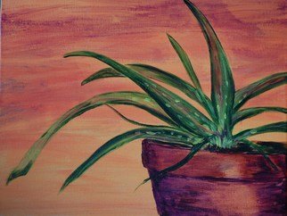 Lauren Mooney Bear: 'Dessert Aloe', 2010 Acrylic Painting, Southwestern.    Plant, Southwestern Sky ...