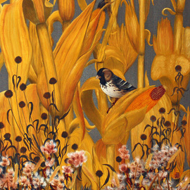 Mike Ross: 'Harris Sparrow', 2012 Oil Painting, Birds. Artist Description:  Harris sparrow, sparrow, corn field, song birds, small birds, 24