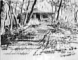 Michael Garr: 'Museum on the Hill', 2005 Pen Drawing, nature. This is a large ink drawing of the view up the steep hill to the Arts and Crafts studio at K20 Camp, Bear Mountain NY.  The path to the museum is a glacially- scoured rock outcrop with moss and ridges.  Tricky footing for a small child on rainy days. . .  This ...