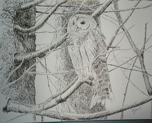 Artist Michael Garr. 'Barred Owl In January' Artwork Image, Created in 2015, Original Other. #art #artist