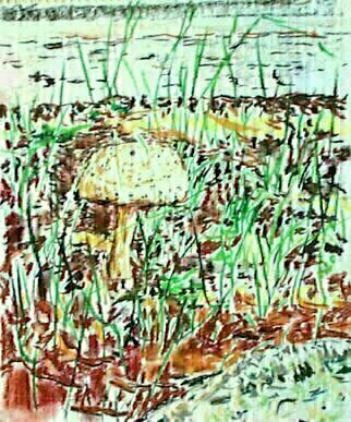 Artist: Michael Garr - Title: mushroom by the conklin house - Medium: Pastel - Year: 1999