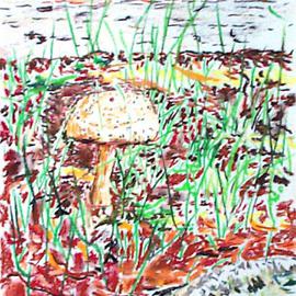 Michael Garr: 'mushroom by the conklin house', 1999 Pastel, Botanical. Artist Description: whimsy by the side of the old farmhouse...