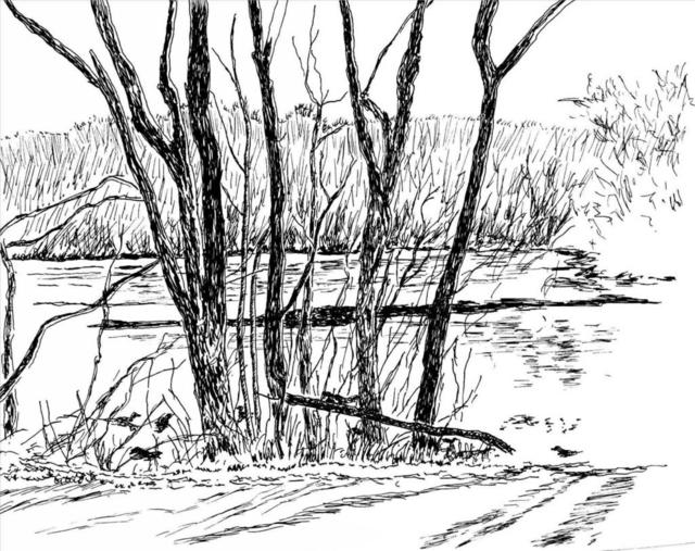 Michael Garr  'Winter Ducks On The Saugatucket', created in 2006, Original Drawing Pastel.
