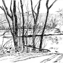 Michael Garr: 'winter ducks on the saugatucket', 2006 Pen Drawing, Wildlife. Artist Description: Done in the morning from the van while looking out at the millpond in Peace Dale RI. The ducks are in the foreground....