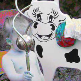Nancy Bechtol: 'hosey cow kid', 2003 Other Photography, Figurative. Artist Description: summer innocence at play...