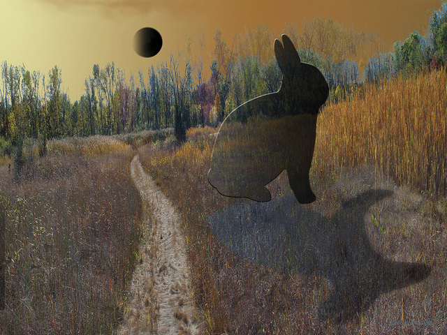 Nancy Bechtol  'Moon Rabbit', created in 2008, Original Photography Mixed Media.
