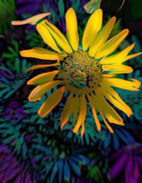 Artist Nancy Bechtol. 'Sunflower Blue' Artwork Image, Created in 2005, Original Photography Mixed Media. #art #artist