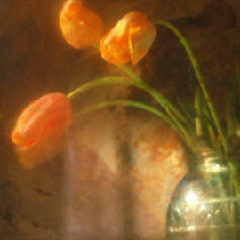 tulips By Maria Pia Gatti