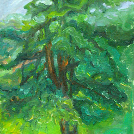 Zsuzsa Naszodi: 'Dancing tree', 2007 Oil Painting, Landscape. Artist Description:  oil on paper ...