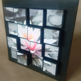 Natasha Pilipo: 'Alba by Natasha Pilipo', 2020 Mixed Media, Floral. Artist Description: 3D Cubes are mixed media concept created by Natasha Pilipo which was developed ten years ago.  They take elements of sculpture, photography, painting, collage and mosaic and join them together in a completely innovative art form.  All of these individual elements stop being what they were before and ...